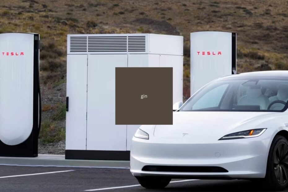 Tesla का भारत में EV चार्जिंग इन्फ्रास्ट्रक्चर सेटअप: 16 सुपरचार्जर्स और 10 डेस्टिनेशन चार्जर्स